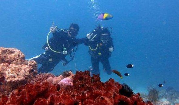 大行评级｜大和：上调中远海控目标价至10港元 上调今明两年盈测