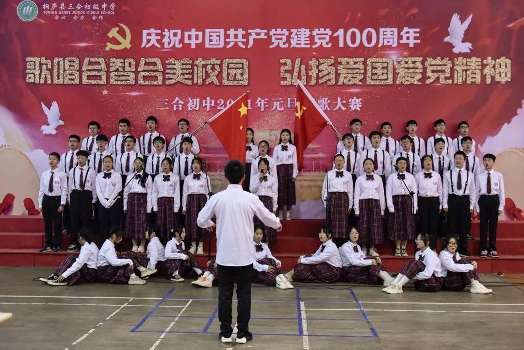探索松树花是什么花?,发现更多乐趣