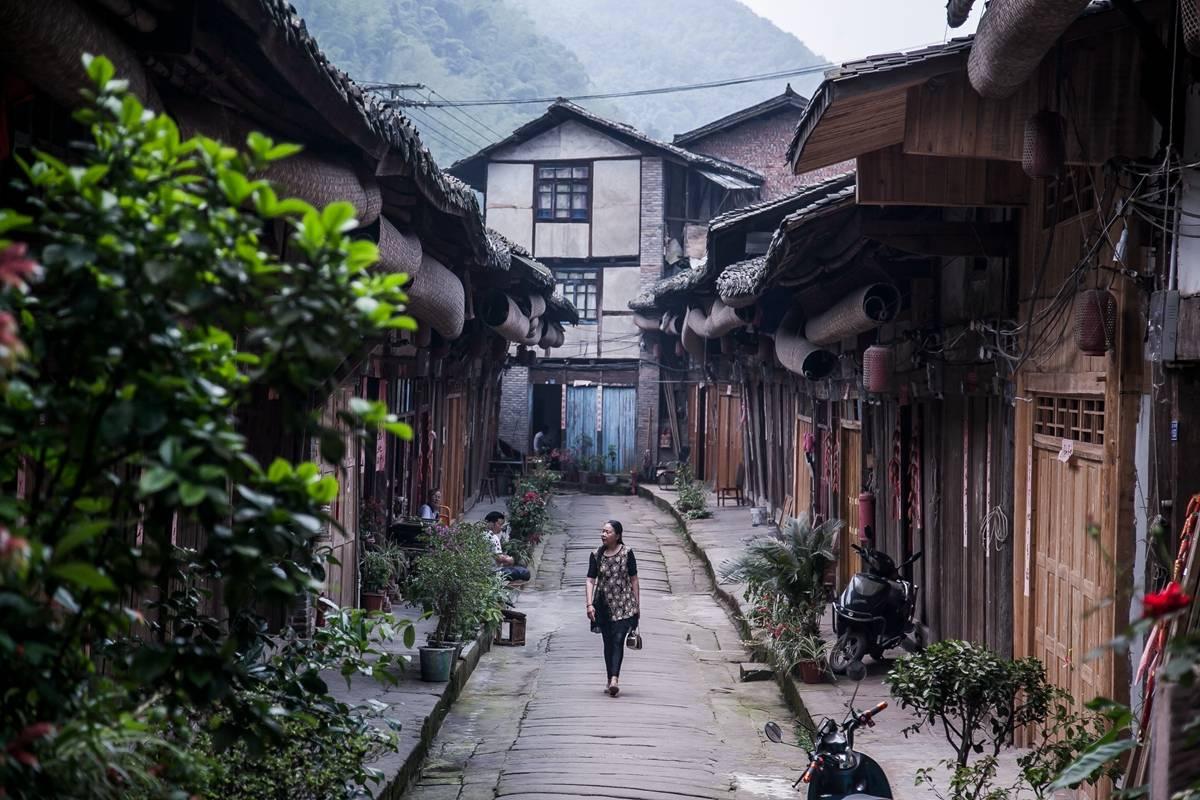 逃离野鸡森林
